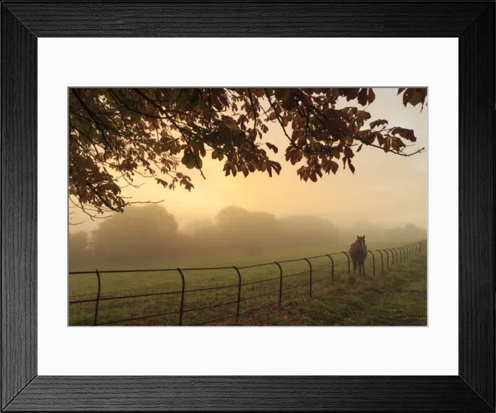 Framed Print : Distant horse in a field at sunrise on a foggy morning in autumn, High Tor, Matlock