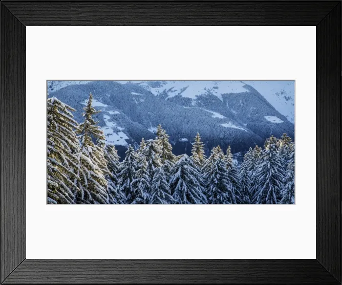 Framed Print : Trees covered with snow in the woods after a heavy snowfall, Gerola Valley, Valtellina Framed Print : Trees covered with snow in the woods after a heavy snowfall, Gerola Valley, Valtellina