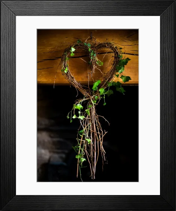 Framed Print : Ivy in heart shape, United Kingdom, Europe Framed Print : Ivy in heart shape, United Kingdom, Europe