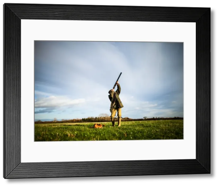Framed Print : Game-shooting, United Kingdom, Europe Framed Print : Game-shooting, United Kingdom, Europe