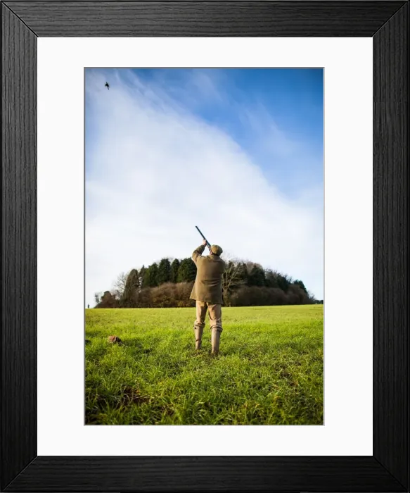 Framed Print : Game-shooting, United Kingdom, Europe Framed Print : Game-shooting, United Kingdom, Europe