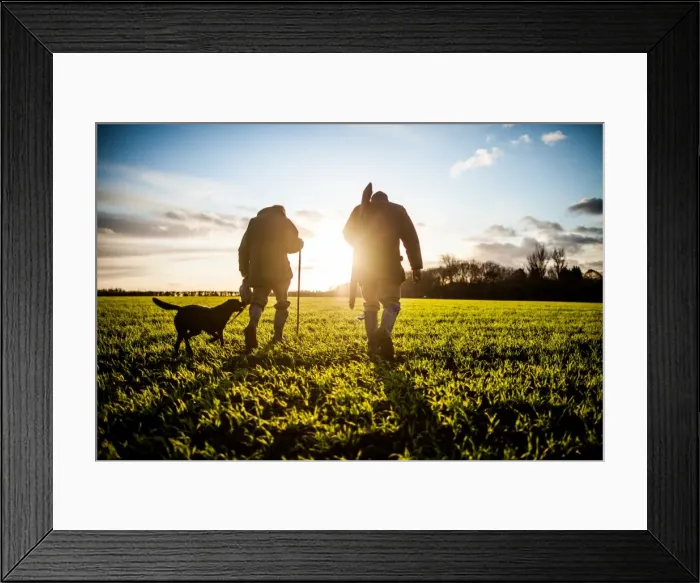 Framed Print : Game-shooting, United Kingdom, Europe Framed Print : Game-shooting, United Kingdom, Europe