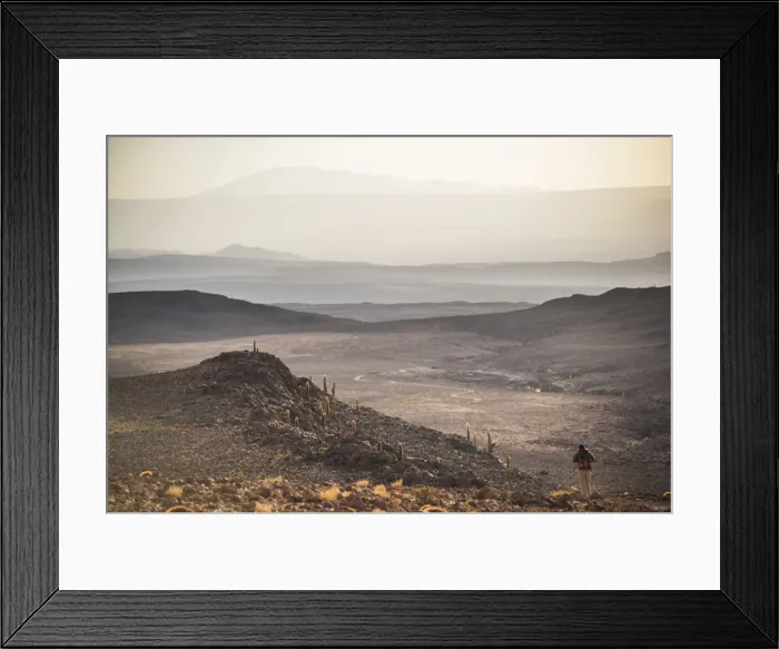 Framed Print : Trekking at sunset in Cactus Valley (Los Cardones Ravine), Atacama Desert, North Chile Framed Print : Trekking at sunset in Cactus Valley (Los Cardones Ravine), Atacama Desert, North Chile
