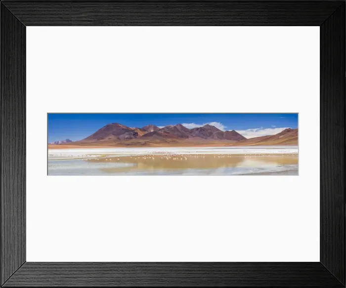 Framed Print : Flamingos at Laguna Hedionda, a salt lake area in the Altiplano of Bolivia, South America Framed Print : Flamingos at Laguna Hedionda, a salt lake area in the Altiplano of Bolivia, South America