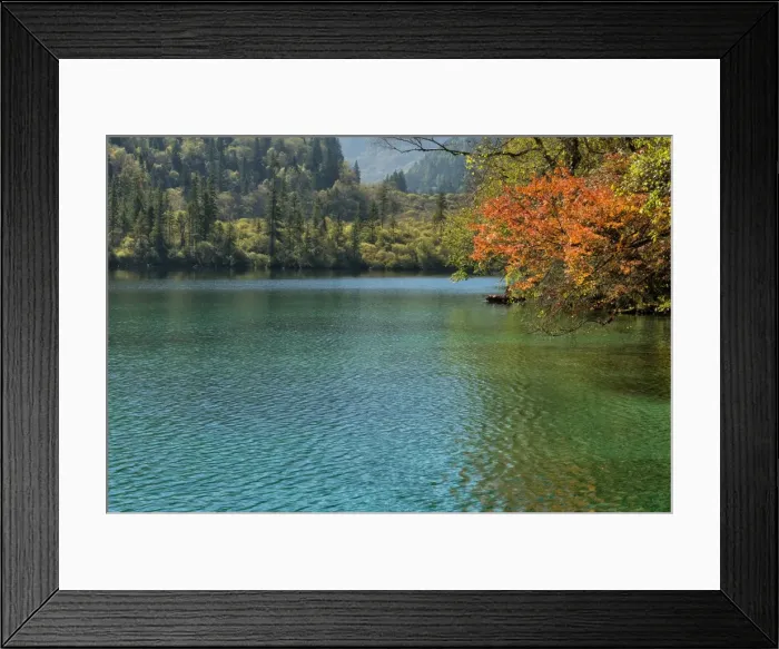 Framed Print : Panda Lake, Jiuzhaigou National Park, UNESCO World Heritage Site, Sichuan Province Framed Print : Panda Lake, Jiuzhaigou National Park, UNESCO World Heritage Site, Sichuan Province