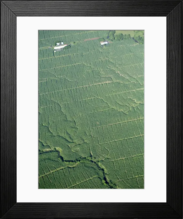 Framed Print : Aerial view of banana plantations in Costa Rica, Central America Framed Print : Aerial view of banana plantations in Costa Rica, Central America
