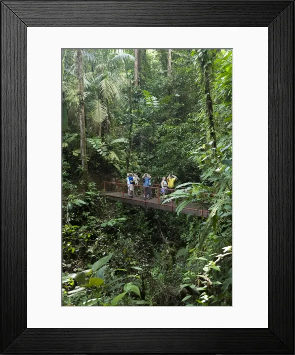 Framed Print : Birdwatchers, Mistico Arenal Hanging Bridges, Alajuela, Costa Rica, Central America Framed Print : Birdwatchers, Mistico Arenal Hanging Bridges, Alajuela, Costa Rica, Central America
