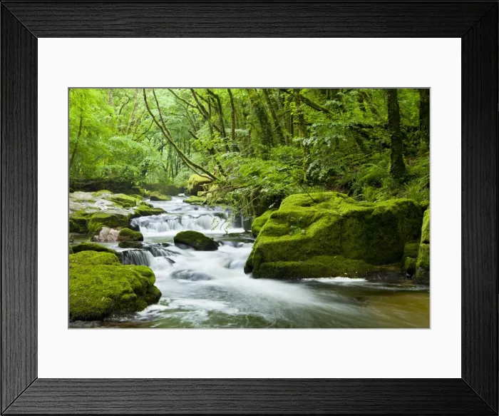 Framed Print : River Fowey, Goliath Falls, Looe, Cornwall, England, United Kingdom, Europe Framed Print : River Fowey, Goliath Falls, Looe, Cornwall, England, United Kingdom, Europe