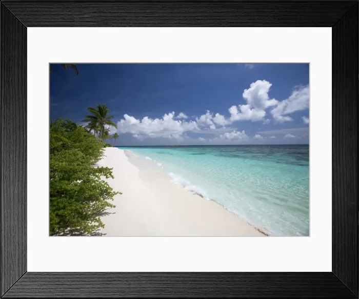 Framed Print : Tropical island and lagoon, Maldives, Indian Ocean, Asia Framed Print : Tropical island and lagoon, Maldives, Indian Ocean, Asia