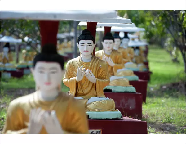 Buddha statues each planted alongside a Bo tree in Maha Bodhi Ta Htaung, 1000 great Bo trees