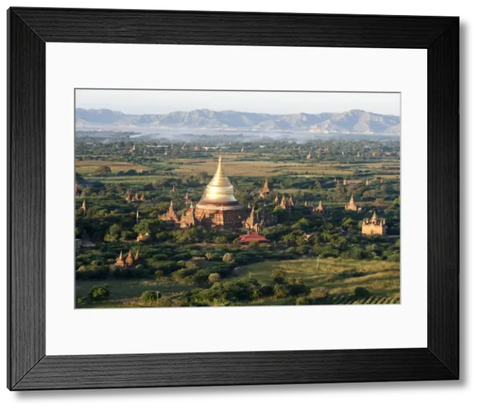 Framed Print : The golden stupa of Dhammayazika Pagoda amongst some of the other terracotta Buddhist Framed Print : The golden stupa of Dhammayazika Pagoda amongst some of the other terracotta Buddhist