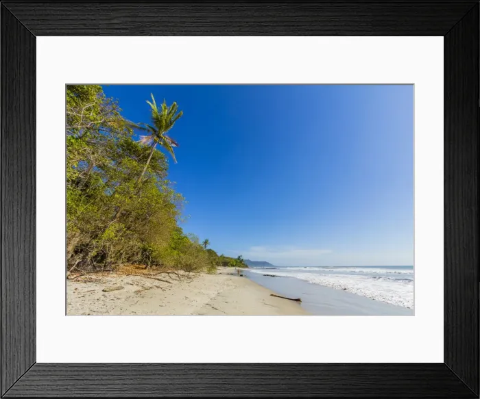 Framed Print : Tall palms and jungle behind the beach at this popular southern Nicoya Peninsula surf resort Framed Print : Tall palms and jungle behind the beach at this popular southern Nicoya Peninsula surf resort