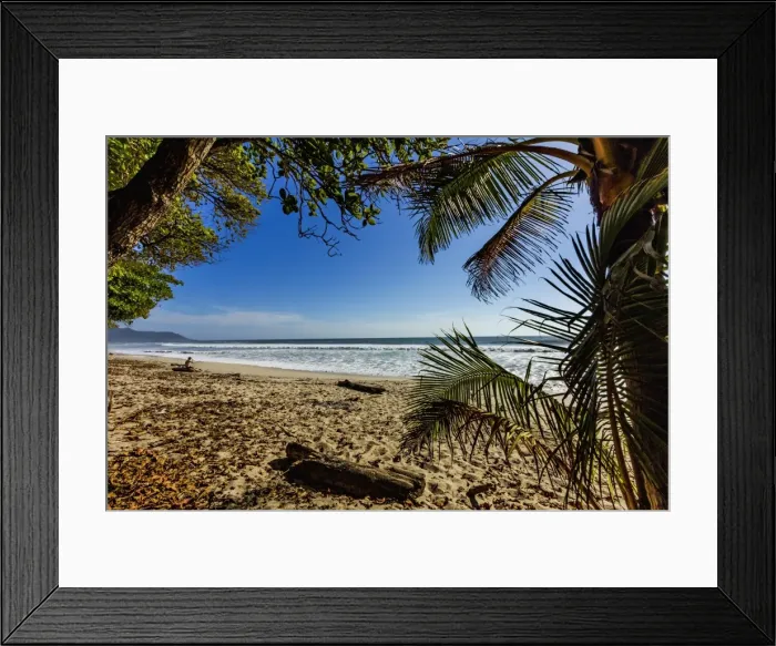 Framed Print : Palm tree at this beautiful surf beach at the southern tip of the Nicoya Peninsula Framed Print : Palm tree at this beautiful surf beach at the southern tip of the Nicoya Peninsula