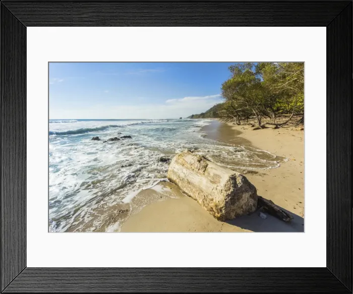 Framed Print : Driftwood on this beautiful surf beach near Mal Pais, far south of Nicoya Peninsula