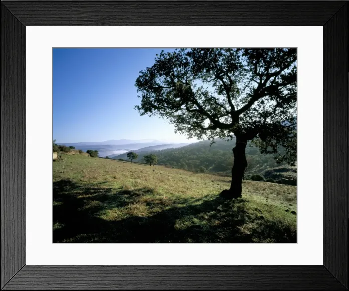 Framed Print : Landscape, Barbagia Framed Print : Landscape, Barbagia