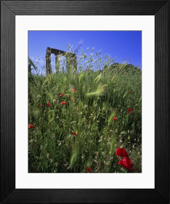 Framed Print : Antas Temple Framed Print : Antas Temple