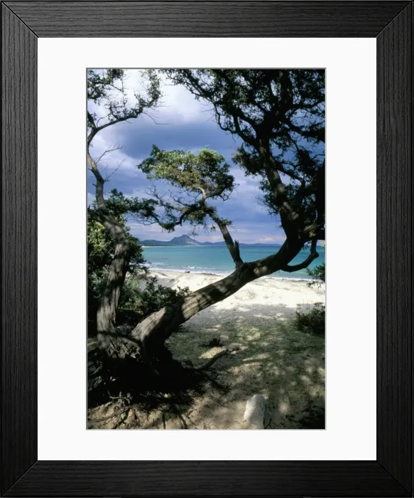 Framed Print : Southeast coast Framed Print : Southeast coast
