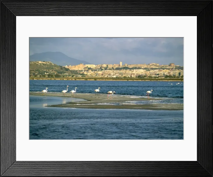 Framed Print : Cagliari, island of Sardinia Framed Print : Cagliari, island of Sardinia