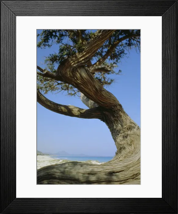 Framed Print : Costa Rey, Sardinia Framed Print : Costa Rey, Sardinia