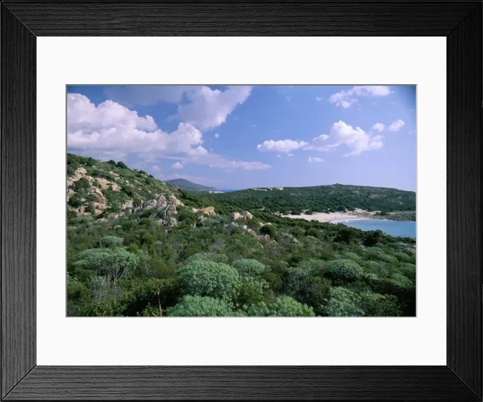 Framed Print : Southwest coast Framed Print : Southwest coast