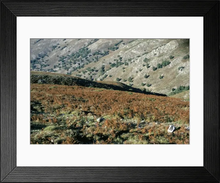 Framed Print : Barbagia, island of Sardinia Framed Print : Barbagia, island of Sardinia