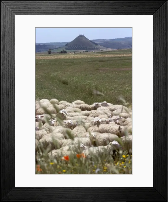 Framed Print : Campidano, island of Sardinia Framed Print : Campidano, island of Sardinia