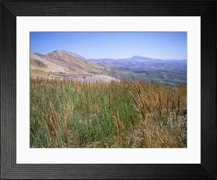 Framed Print : Patinico landscape Framed Print : Patinico landscape