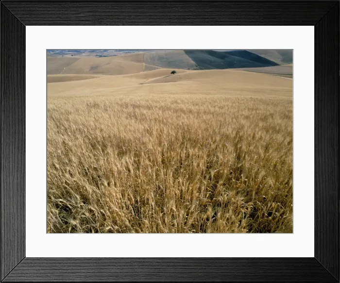 Framed Print : Enna, island of Sicily