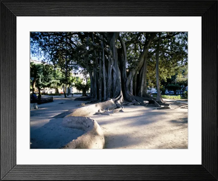 Framed Print : Piazza Marina Framed Print : Piazza Marina