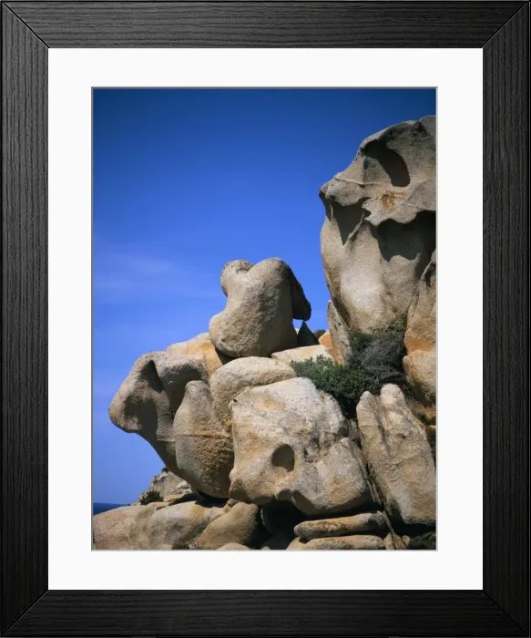 Framed Print : The Thinker Framed Print : The Thinker