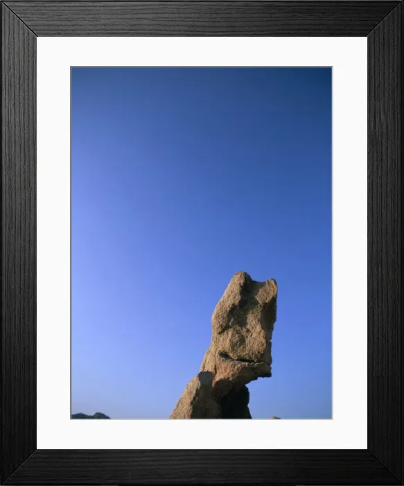 Framed Print : The Wolf, the Moon Valley Framed Print : The Wolf, the Moon Valley