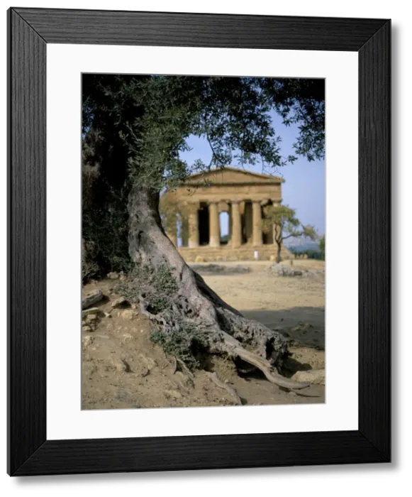 Framed Print : The Concordia temple Framed Print : The Concordia temple
