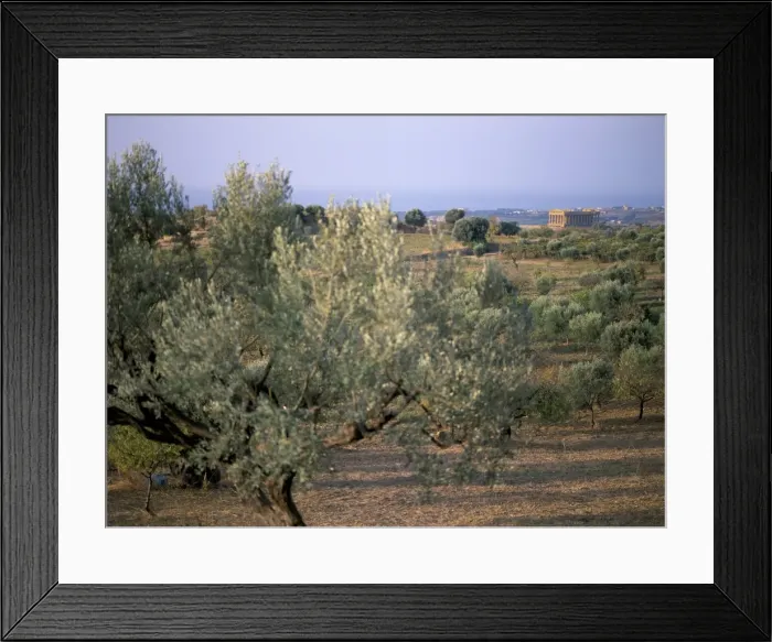 Framed Print : The Valley of the Temples Framed Print : The Valley of the Temples