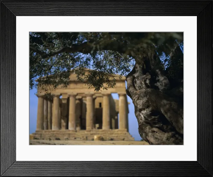Framed Print : Concordia Temple Framed Print : Concordia Temple
