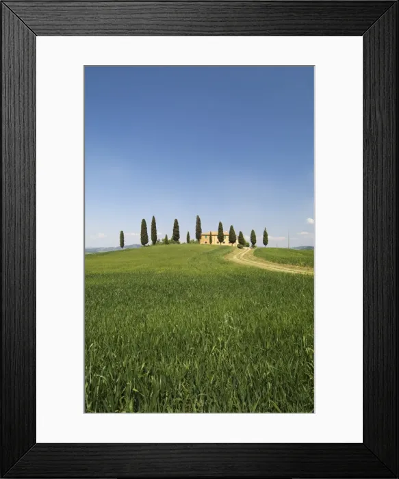 Framed Print : Countryside near Pienza Framed Print : Countryside near Pienza