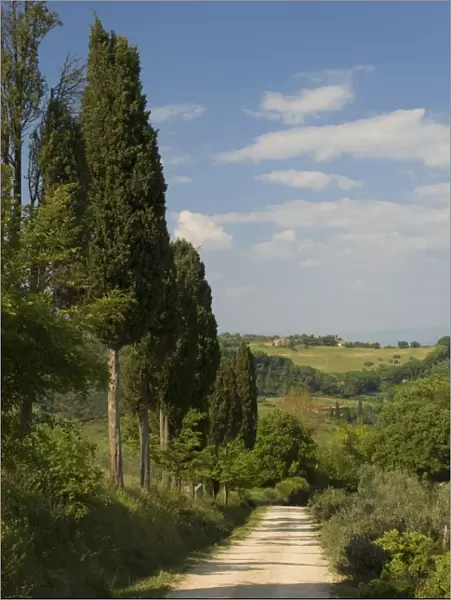 Countryside near Montepulciano