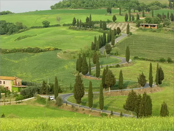 Road from Pienza to Montepulciano