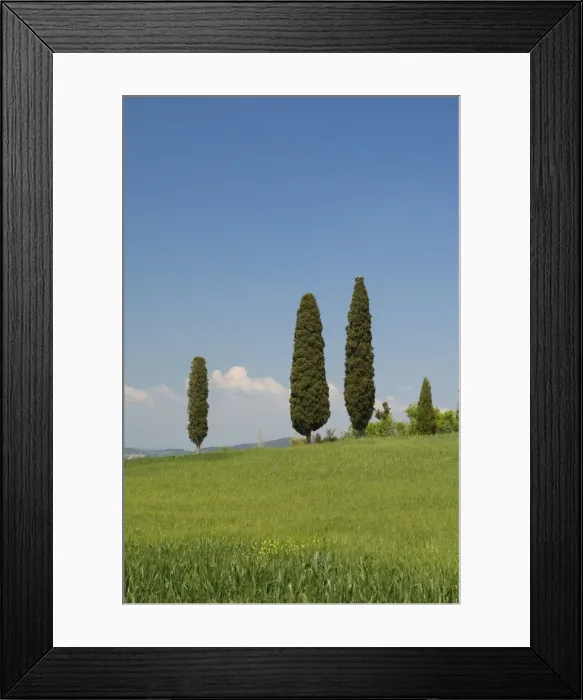 Framed Print : Countryside near Pienza Framed Print : Countryside near Pienza