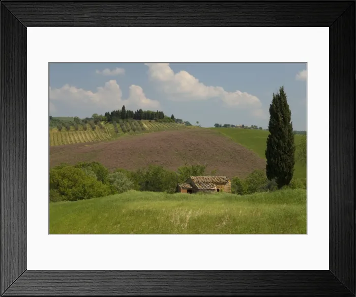 Framed Print : Countryside near Pienza Framed Print : Countryside near Pienza