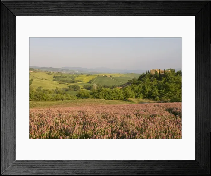 Framed Print : Countryside near Pienza Framed Print : Countryside near Pienza