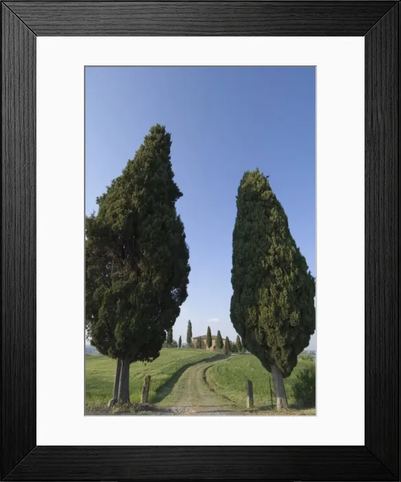 Framed Print : Pienza, Val d Orcia Framed Print : Pienza, Val d Orcia