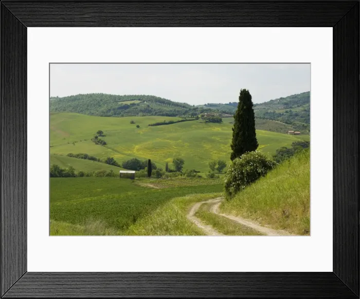 Framed Print : Countryside near Montepulciano Framed Print : Countryside near Montepulciano
