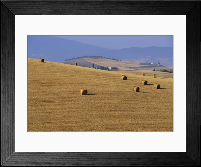 Framed Print : Hay bales, Val d Orcia Framed Print : Hay bales, Val d Orcia