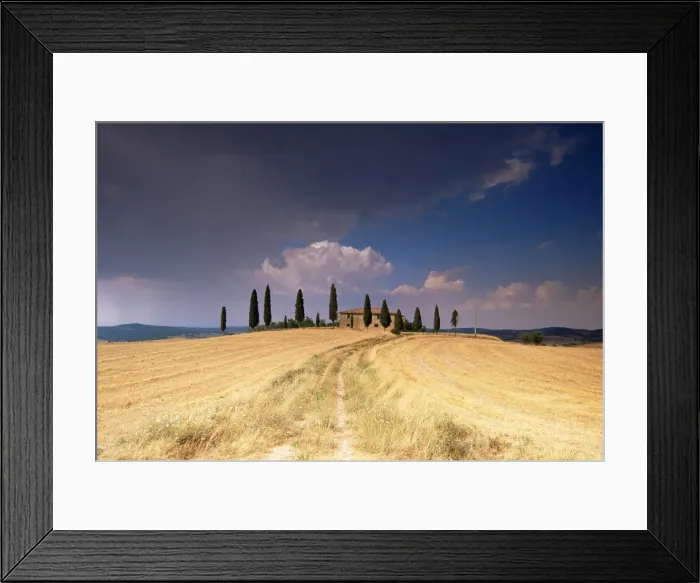 Framed Print : Cottage and cypress trees near Pienza