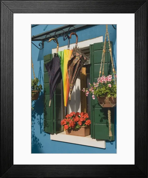Framed Print : Umbrellas drying outside window with geranium pots Framed Print : Umbrellas drying outside window with geranium pots