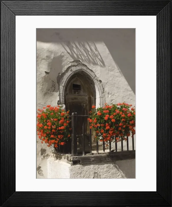 Framed Print : Doorway with trailing geraniums Framed Print : Doorway with trailing geraniums