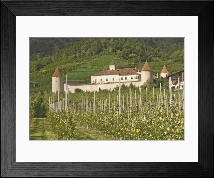 Framed Print : Fortified house surrounded by apple orchards Framed Print : Fortified house surrounded by apple orchards