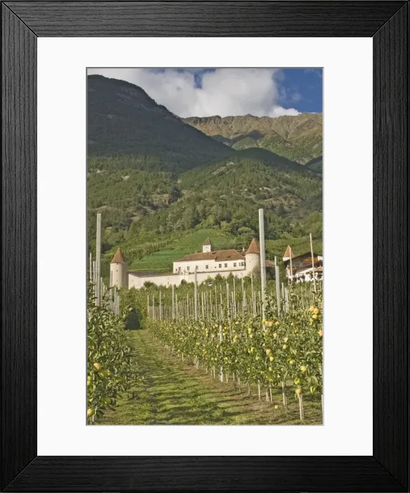 Framed Print : Fortified house surrounded by apple orchards Framed Print : Fortified house surrounded by apple orchards