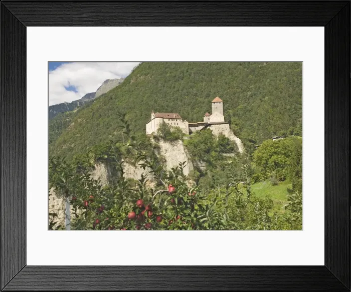 Framed Print : The 12th century Castel Tirolo Framed Print : The 12th century Castel Tirolo