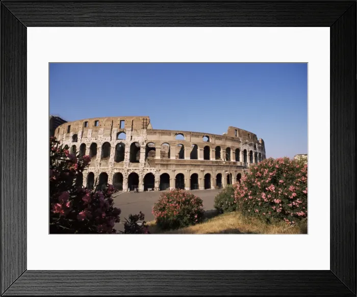 Framed Print : The Colosseum Framed Print : The Colosseum